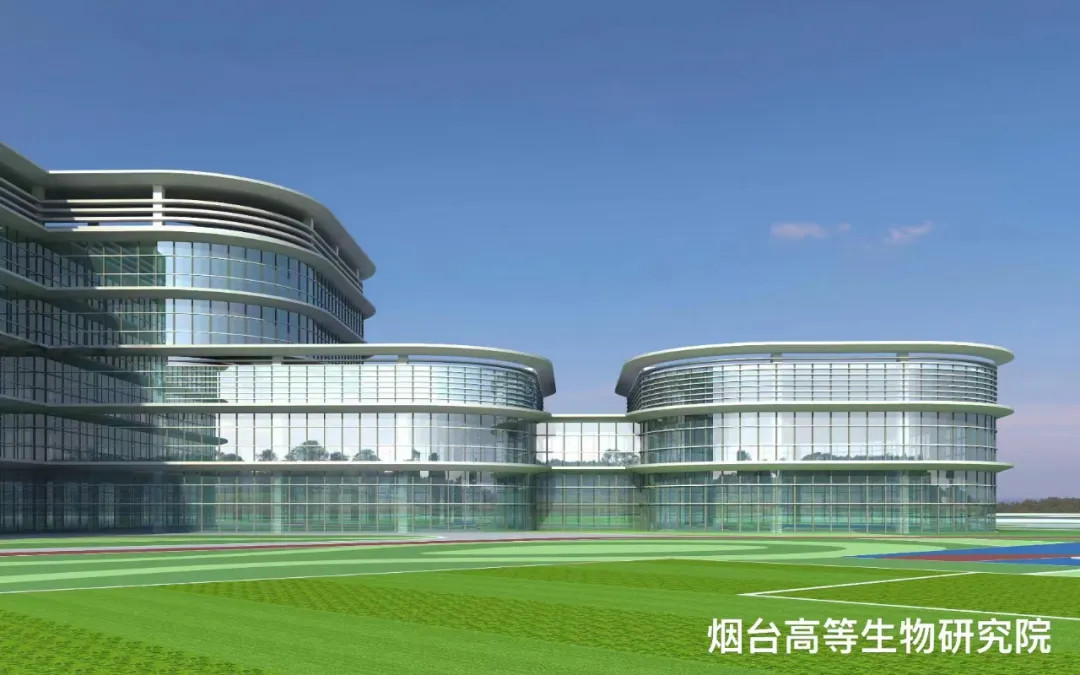 大跨度 高精度 超節(jié)能|鳳鋁助力菸臺城市更新，展登州新貌